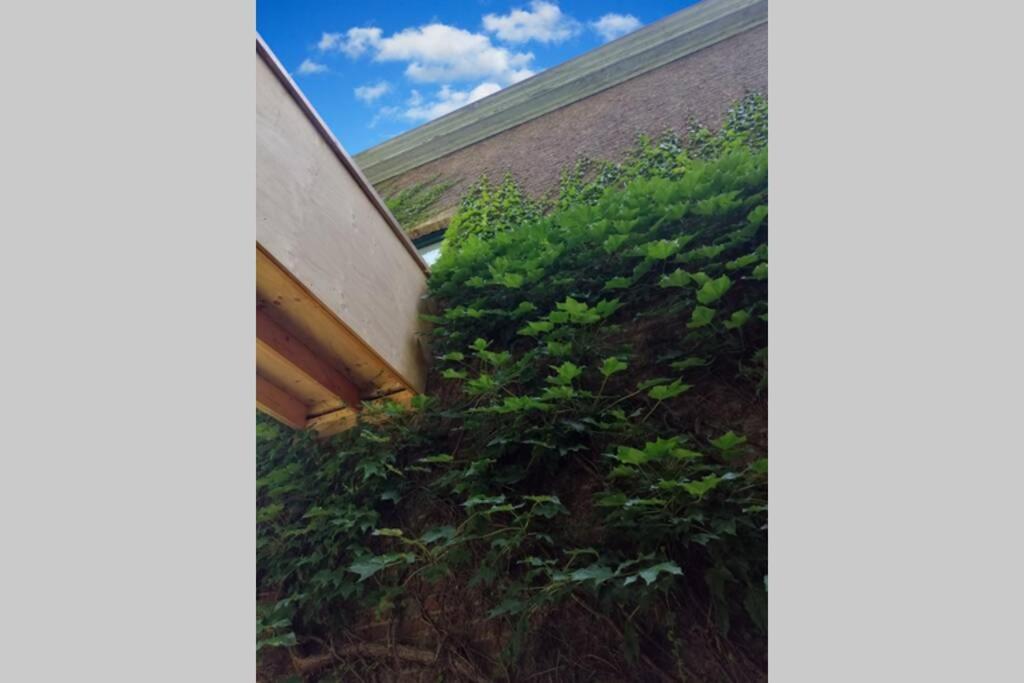 Ferienwohnung La Belle Vigne Namur  Exterior foto